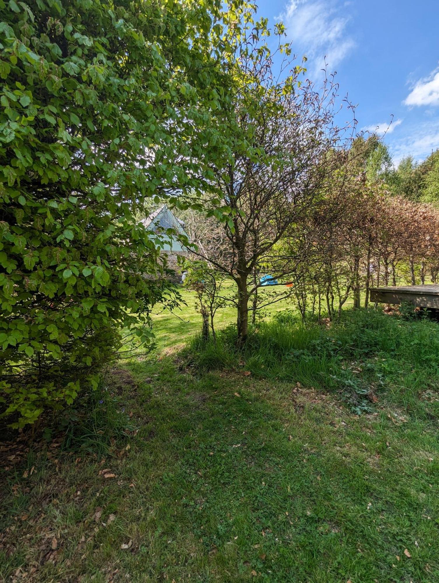 Holiday home Birkenside *